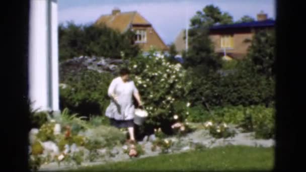 Tuin scène met vrouw en hond. — Stockvideo