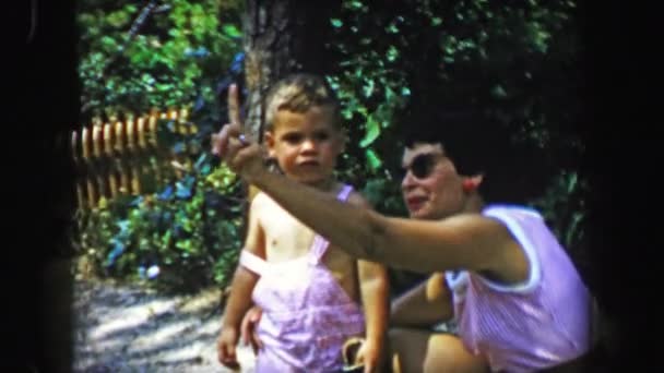 Madre enseñando a niño sobre pájaros señalando hacia arriba — Vídeos de Stock