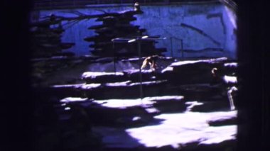 bir maymun tarafından kesilen ağaçlar geçen görülür