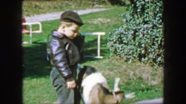 Dítě mazlení koza v parku — Stock video