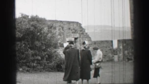 A woman standing on a lawn in front of a stone wall — Stock Video