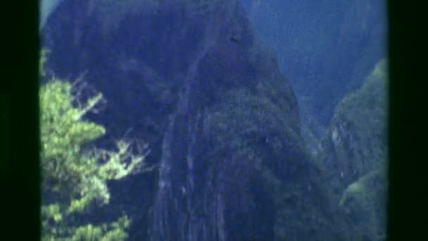 深山密林的河下面 — 图库视频影像