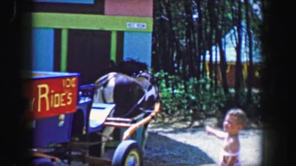 Zábavní park Storyland s jízdy na poníkovi — Stock video