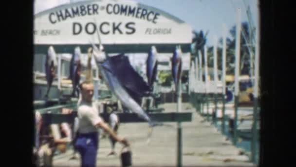 Hamber of Commerce Docks sportfishing sailfish — Stock video