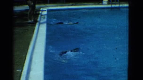 Freestyle simning i poolen — Stockvideo