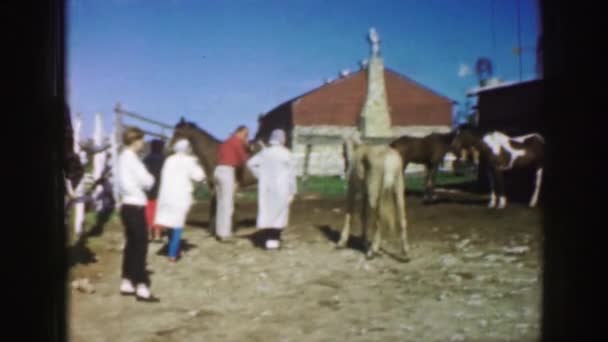 Visita dell'allevamento di cavalli da parte della famiglia e dei medici in visita — Video Stock