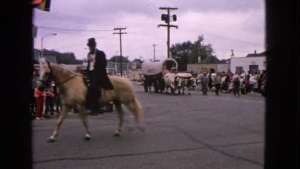 Un cheval est vu avec un cavalier — Video