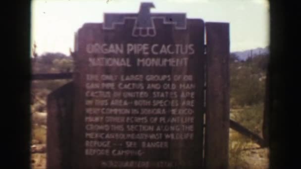 Pipa de órgano Cactus National Monument Park — Vídeos de Stock