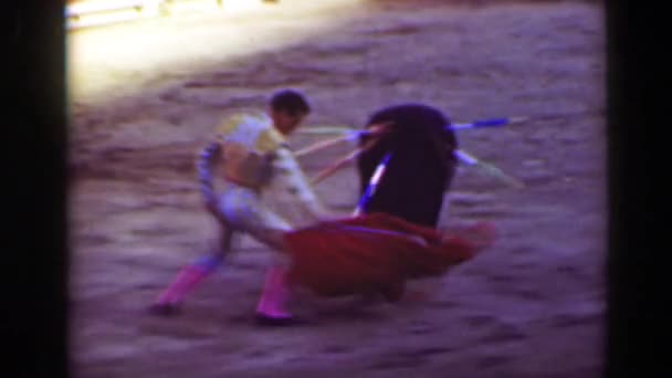 Torero bullfighter distracting angry bull — Stock Video