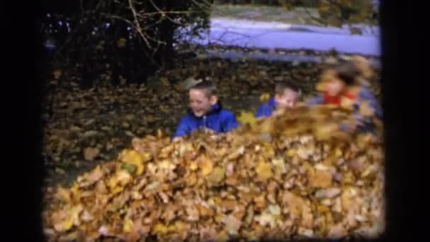 Děti na lyžích v hromadě listí na podzim mimo — Stock video
