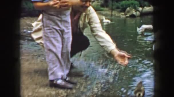 Отец и сын кормят уток в пруду — стоковое видео