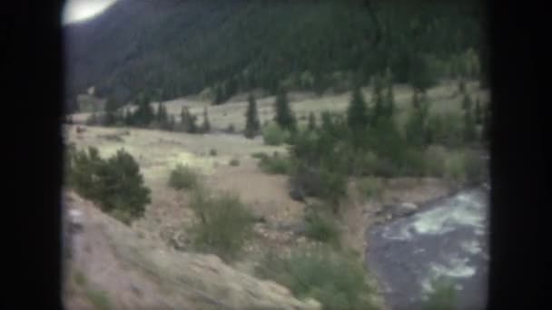 Вид на лесной массив, проходящий — стоковое видео