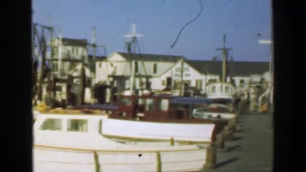 Båtliv harbor docks pier — Stockvideo