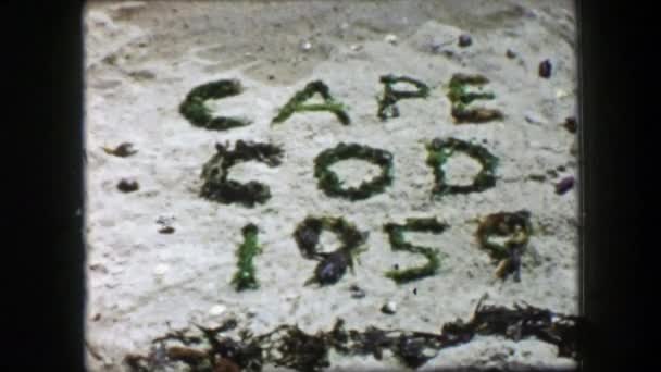 Cape Cod scritto sulla sabbia della spiaggia — Video Stock