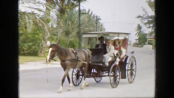 Madre e hijo a caballo paseo en carruaje — Vídeo de stock
