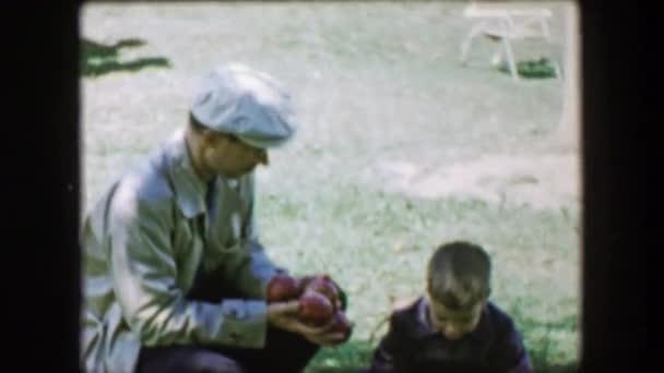 Boy gathering fallen apples and giving dad — Stock Video