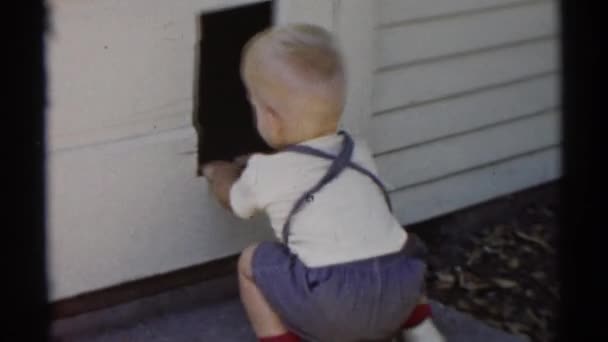 Pequeño niño mira a través del agujero — Vídeos de Stock