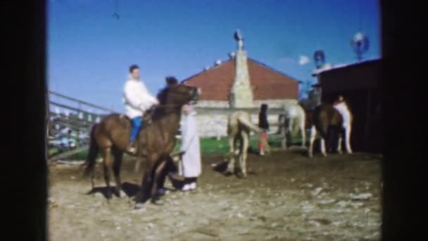 Бабуся їде на коні на ранчо — стокове відео