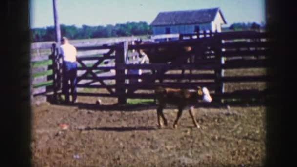 Homem tenta aproximar bebê fazenda animal — Vídeo de Stock