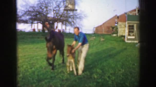 自転車に乗って子供であるかのように馬を赤ちゃん — ストック動画