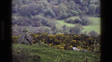 su ile güzel bir manzara görülür