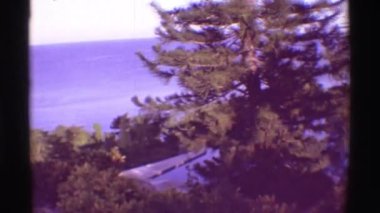 ağaçlar ile kıyı alanı