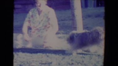 getirme şirin bir köpek ile oynayan kadın