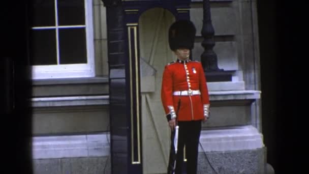 En vakt är ses stående alert framför en royal byggnad — Stockvideo