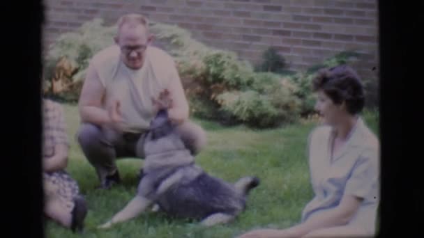 Een gezin spelen een hond aaien — Stockvideo