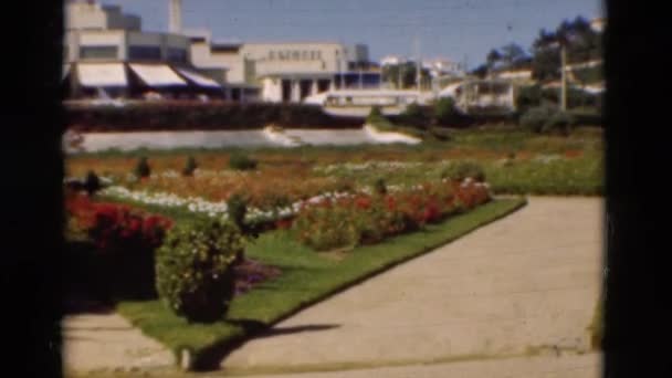 Парк с цветами и травой — стоковое видео