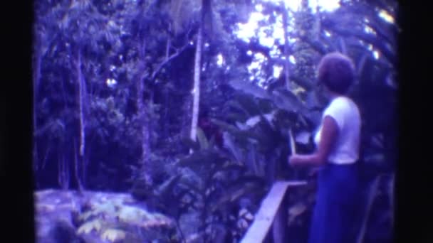 Eine Dame genießt im Wald — Stockvideo