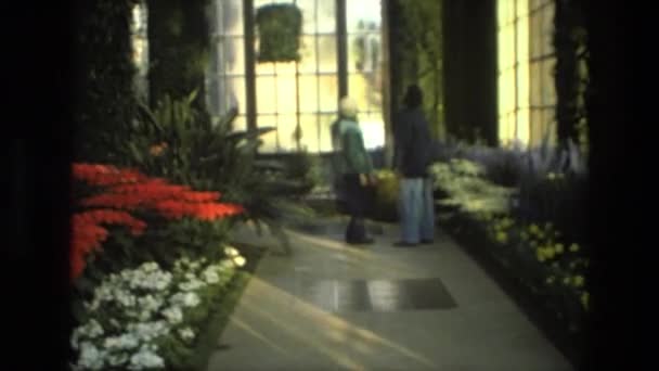 Un jardín interior se ve — Vídeos de Stock