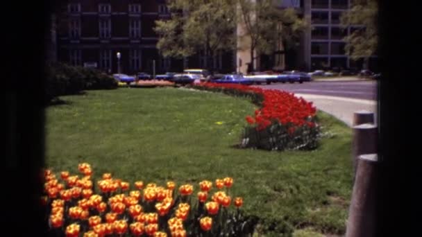 Uitzicht op openbare tuin — Stockvideo