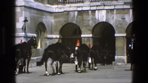 Une armée royale de chevaux est vue — Video