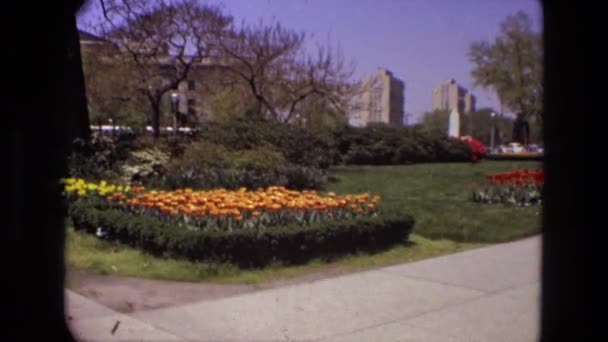 Park voller Pflanzen und Wasserfontänen — Stockvideo