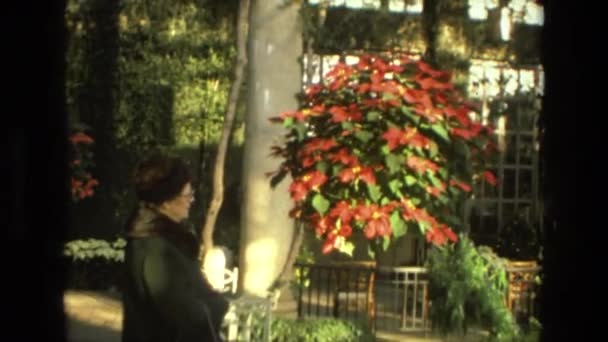 Woman examines hanging basket of flowers — Stock Video