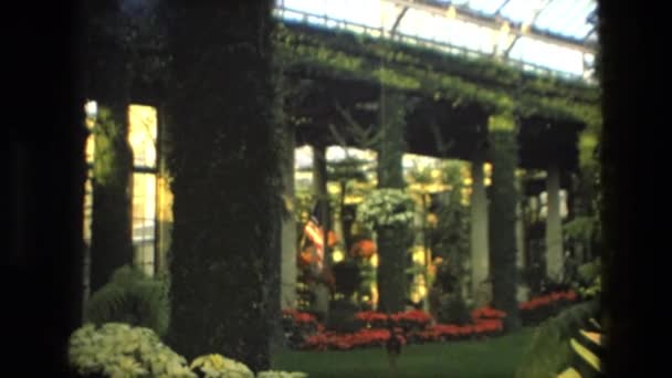 Menschen, die unter der Struktur im Hintergrund des Gartenbereichs gehen — Stockvideo