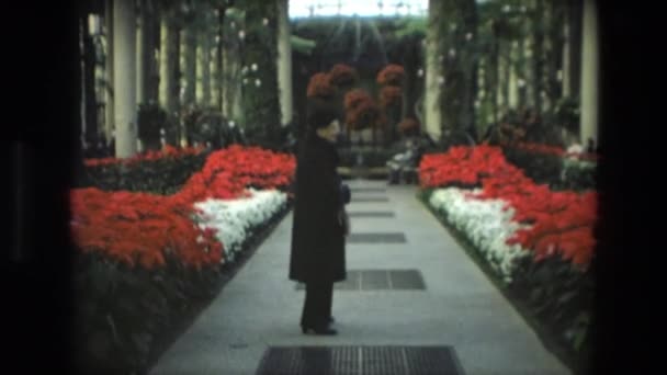 並ぶ植物園を歩く女性 — ストック動画
