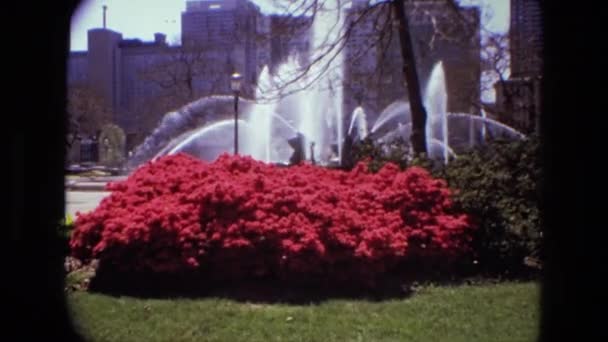 Arbustos con flores en un parque con una fuente de agua — Vídeos de Stock