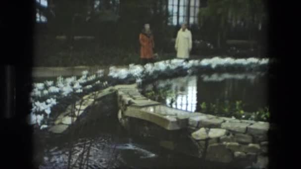人们观察植物环绕着一条小溪 — 图库视频影像