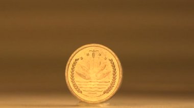 Bangladeş Penny