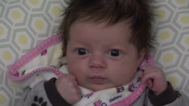Şirin Bebek