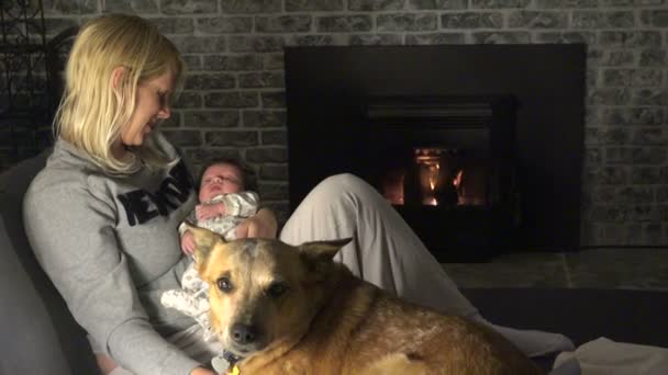 Kötés, anya, baba és kutya — Stock videók
