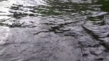 Dalgalar karanlık göl hareket etme