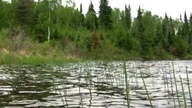 Sazlık Gölü üzerine sığ suda grup