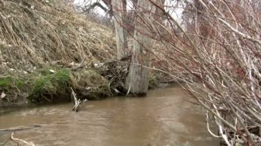 Creek adlı bir düşük perspektif görüntüleme