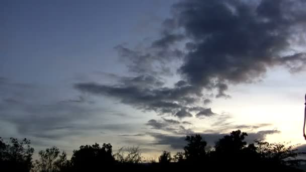 Δραματικό ουρανό πάνω από τα δέντρα σιλουέτες — Αρχείο Βίντεο