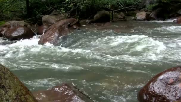 Overflowing water down the stream — Stock Video