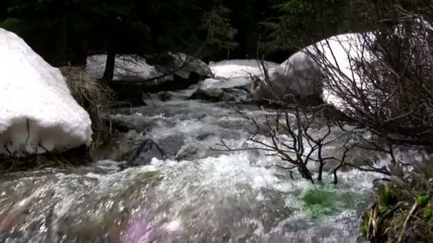 Montaña nieve derretimiento arroyo — Vídeos de Stock