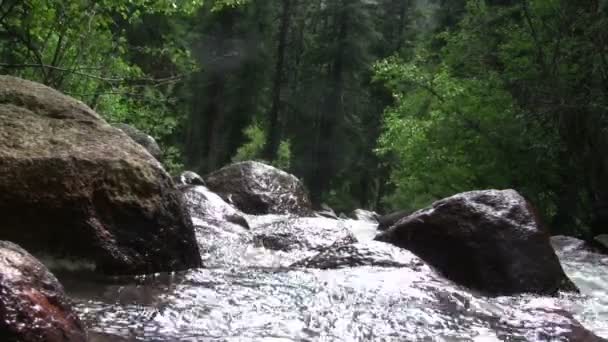 Water rippling over boulders — Stock Video